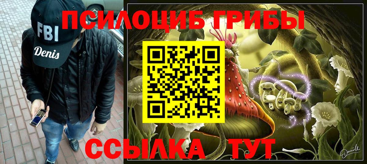 Псилоцибиновые грибы MAGIC MUSHROOMS  Галлюциногенные грибы ЛСД  Кострома  Вход с VPN 