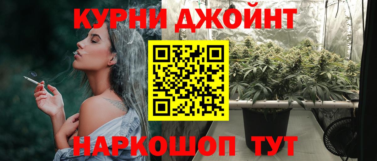 Шишки марихуана сатива  Марихуана ГИДРОПОН  Кострома  Канабис планчик  Вход с VPN 